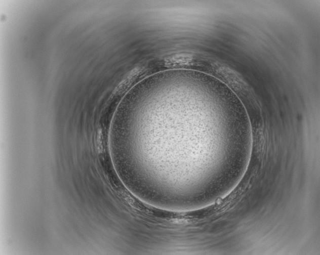 X0000060240224200510311530