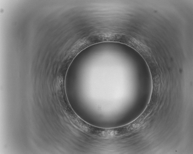 X0000060240225200510311530