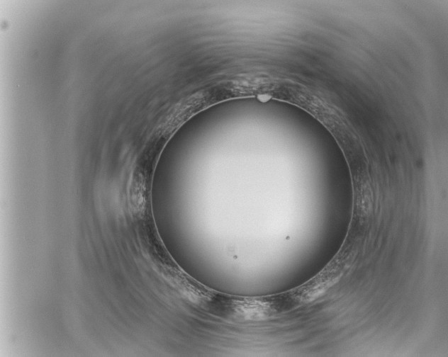 X0000060240226200510311530