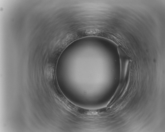 X0000060240227200510311530