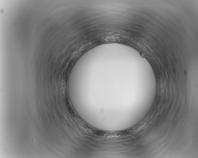 X0000060240228200510311530