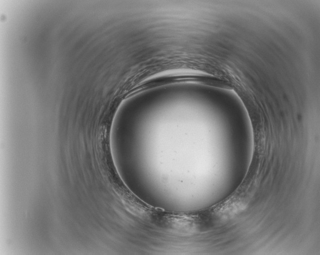 X0000060240229200510311530