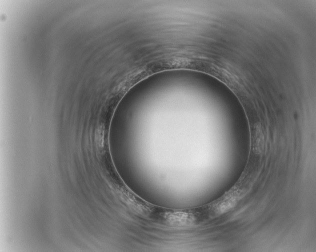 X0000060240230200510311530