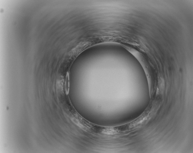 X0000060240231200510311530