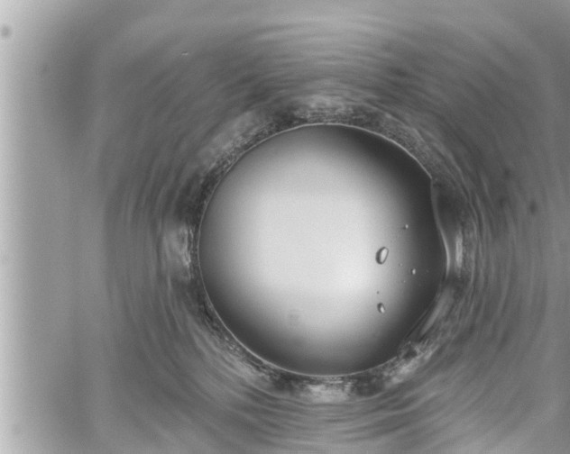 X0000060240232200510311530