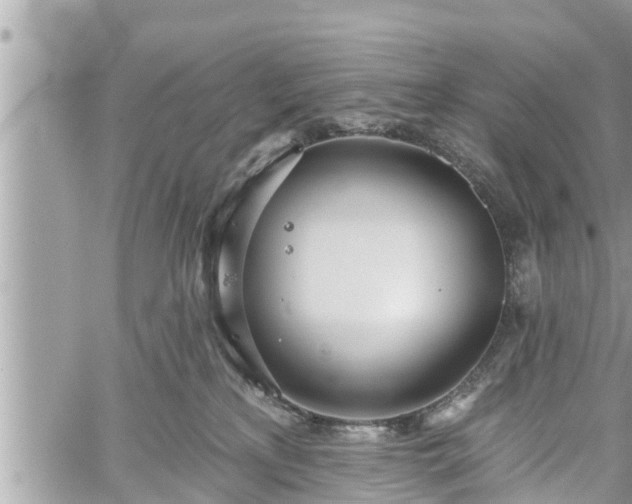 X0000060240233200510311530