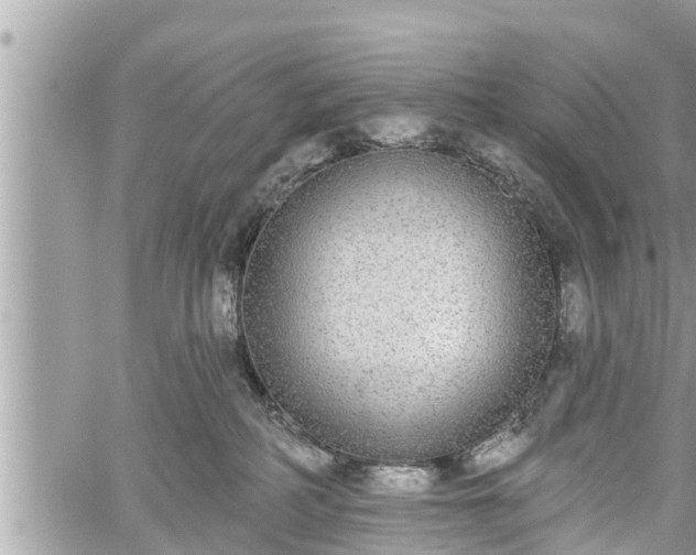 X0000060240234200510311530