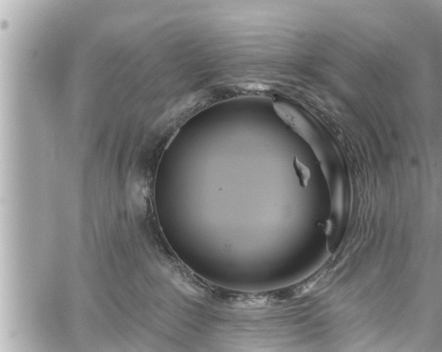 X0000060240235200510311530