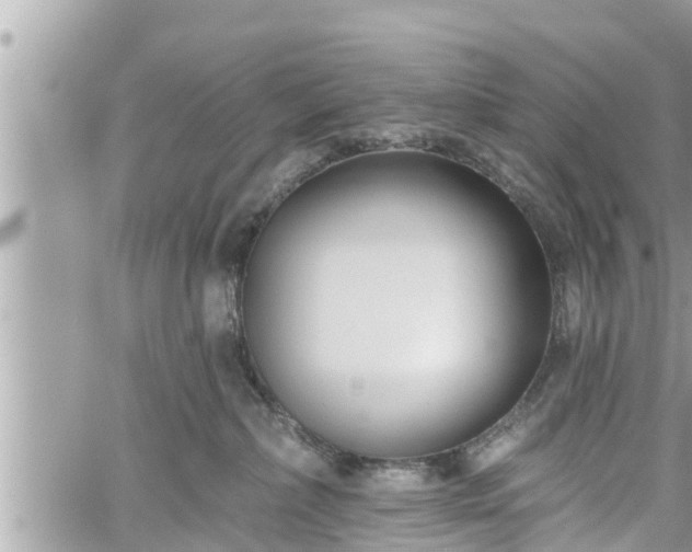 X0000060240236200510311530