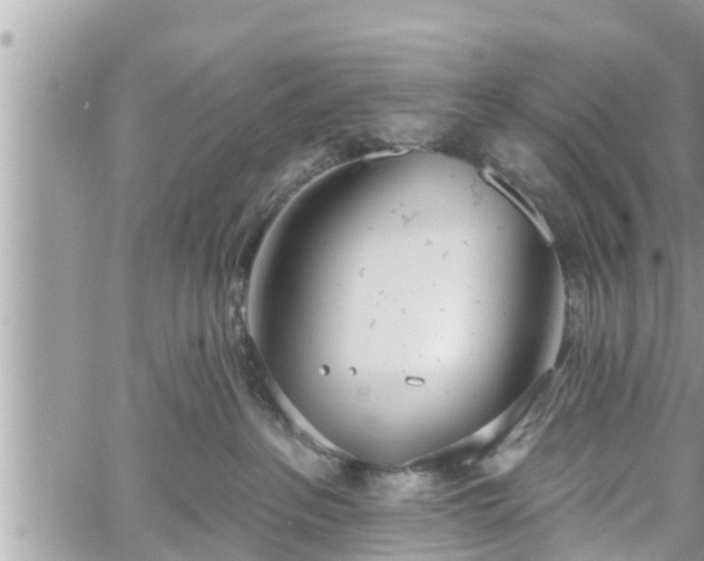 X0000060240237200510311530