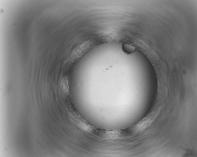 X0000060240240200510311530