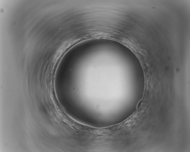 X0000060240241200510311529