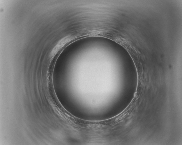 X0000060240242200510311529