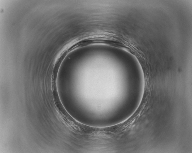 X0000060240244200510311529