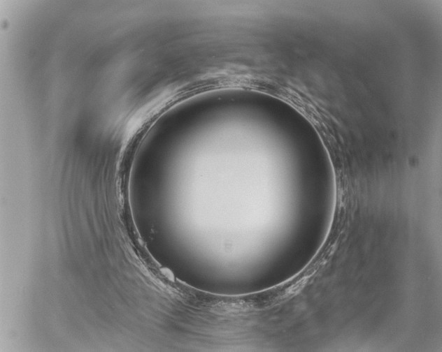 X0000060240245200510311529