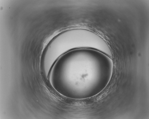 X0000060240248200510311529