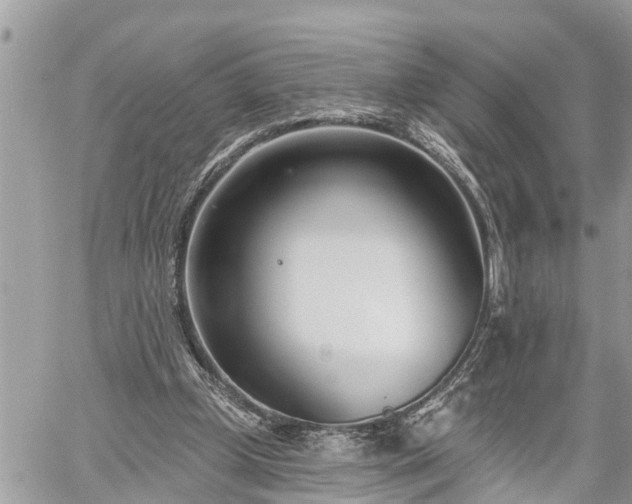 X0000060240249200510311529