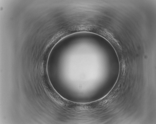 X0000060240250200510311529