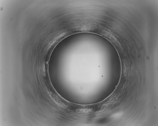 X0000060240251200510311529