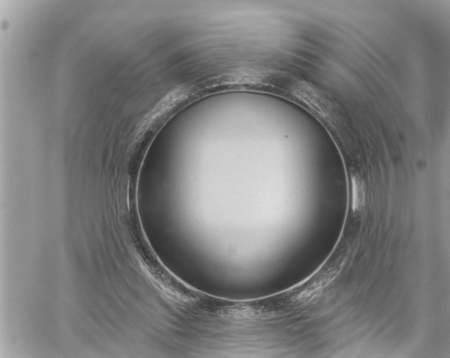 X0000060240253200510311529