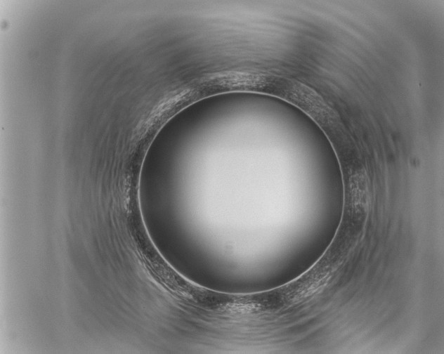 X0000060240255200510311529