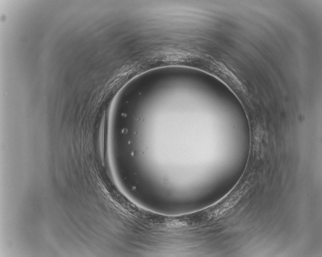 X0000060240257200510311529