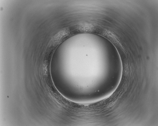 X0000060240259200510311529