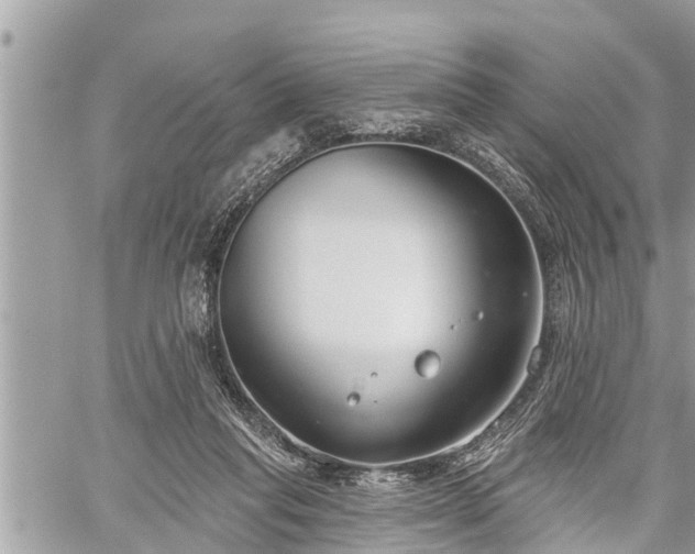 X0000060240261200510311529