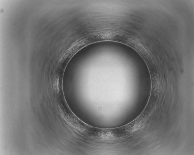 X0000060240262200510311530