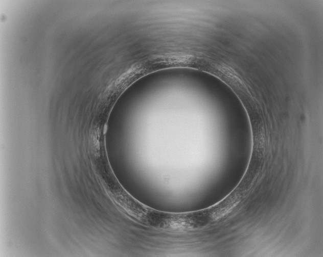 X0000060240264200510311530