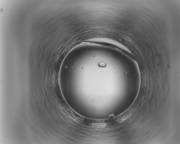 X0000060240266200510311530