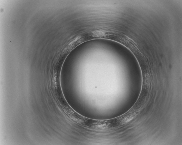 X0000060240267200510311530