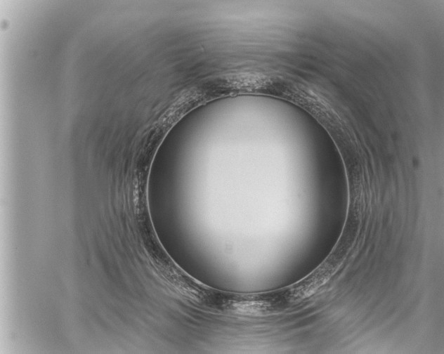 X0000060240268200510311530