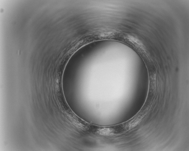 X0000060240269200510311530