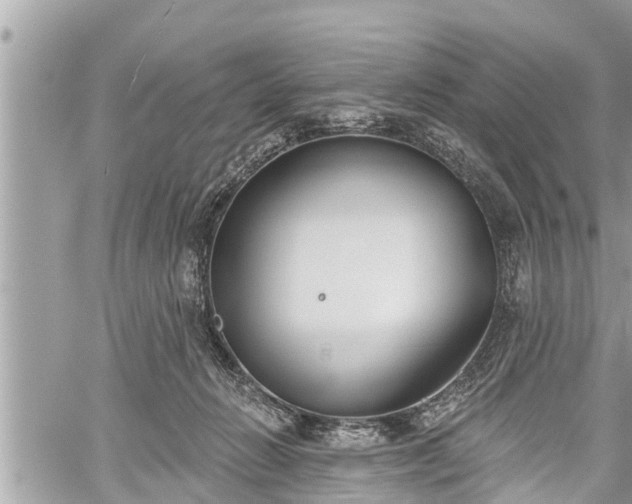 X0000060240270200510311530