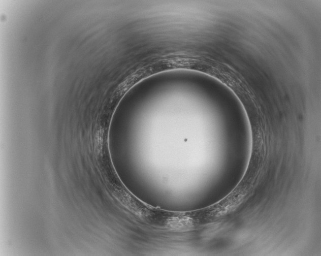 X0000060240271200510311530