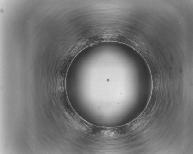 X0000060240272200510311530