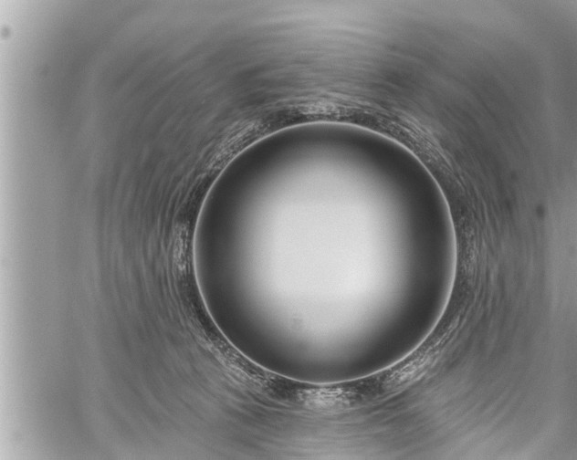 X0000060240273200510311530