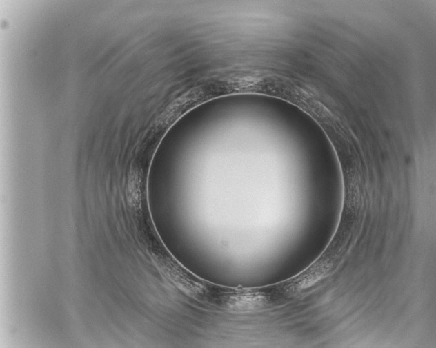 X0000060240274200510311530