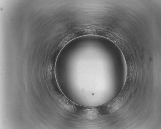 X0000060240275200510311530