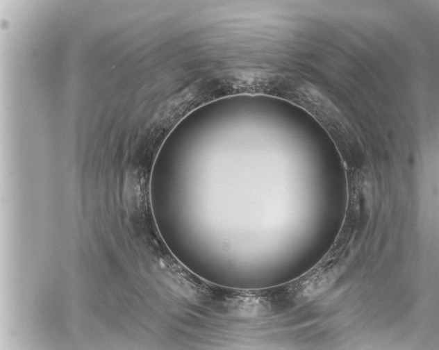 X0000060240276200510311530