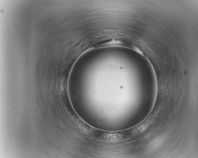 X0000060240277200510311530