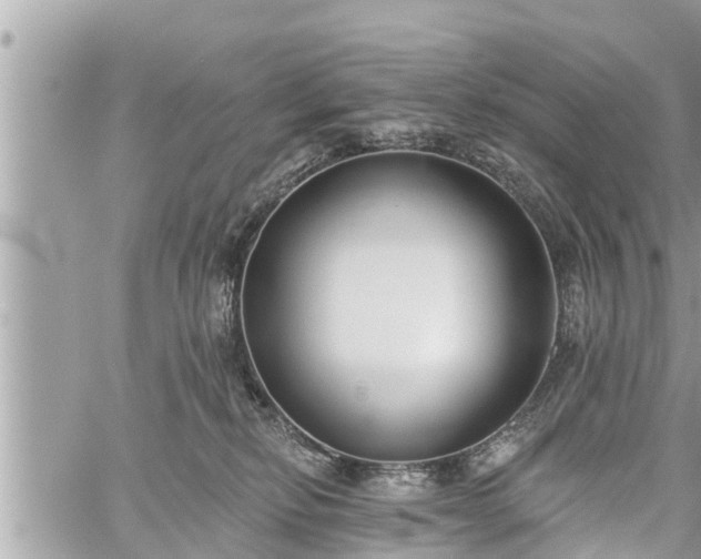 X0000060240278200510311530