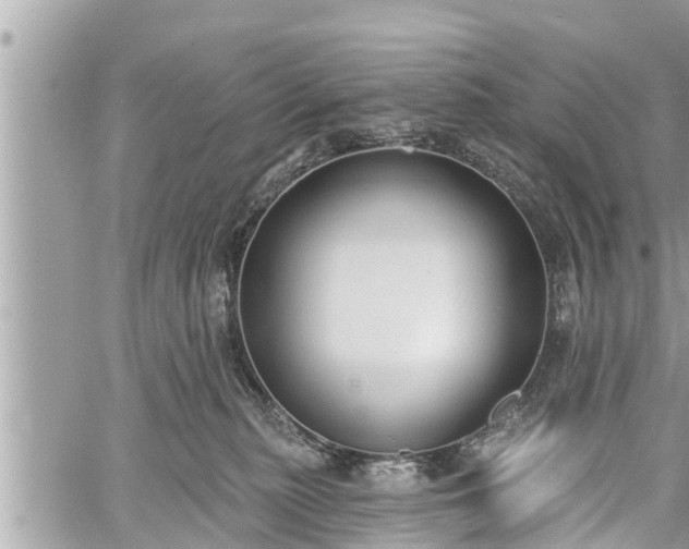 X0000060240279200510311530