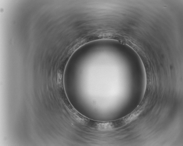 X0000060240281200510311530