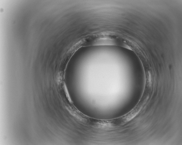 X0000060240284200510311530