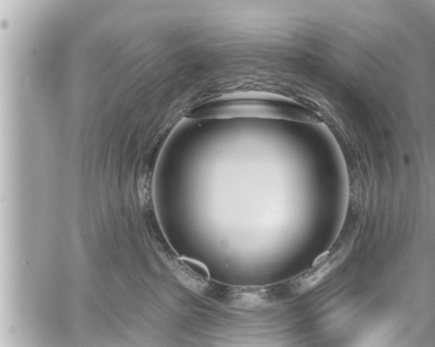 X0000060240285200510311530