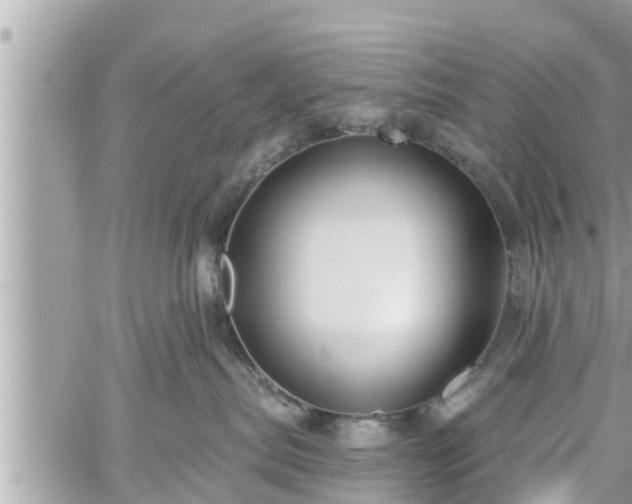 X0000060240287200510311530