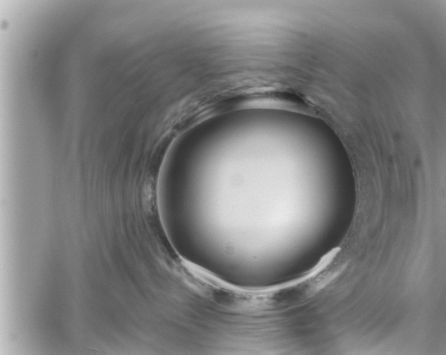 X0000060240288200510311530