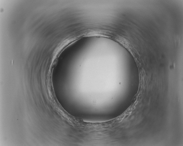 X0000060240289200510311529